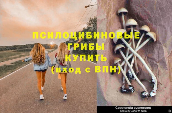 мяу мяу кристалл Армянск