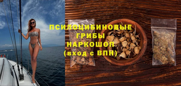 ГАЛЛЮЦИНОГЕННЫЕ ГРИБЫ Аркадак