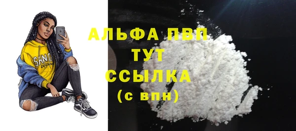 ГАЛЛЮЦИНОГЕННЫЕ ГРИБЫ Аркадак
