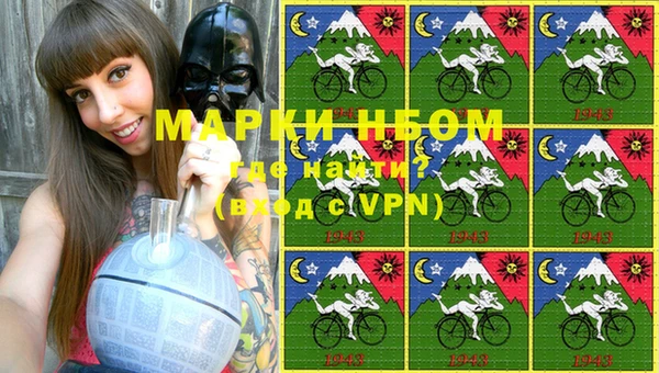 ГАЛЛЮЦИНОГЕННЫЕ ГРИБЫ Аркадак