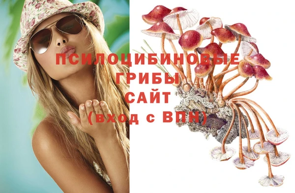 СК Арсеньев