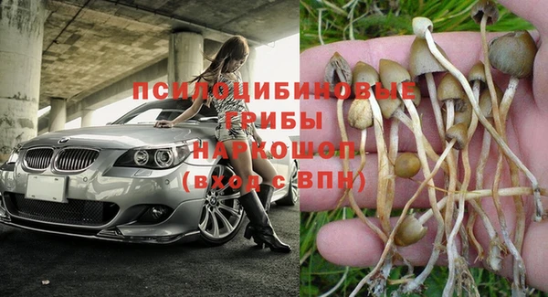 кристаллы Слюдянка