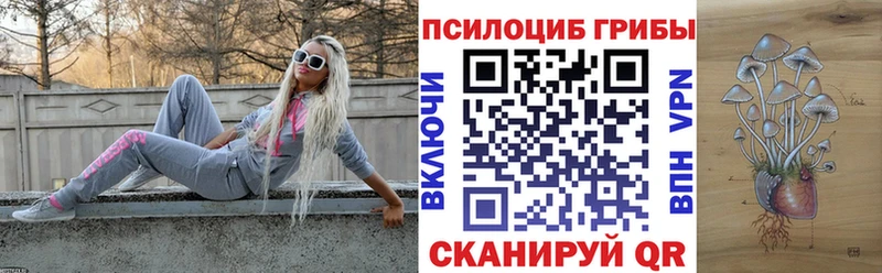Псилоцибиновые грибы прущие грибы  купить наркоту  Реж 